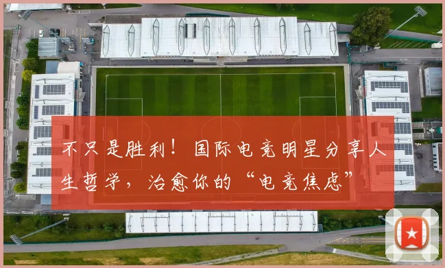 不只是胜利!国际电竞明星分享人生哲学,治愈你的“电竞焦虑”